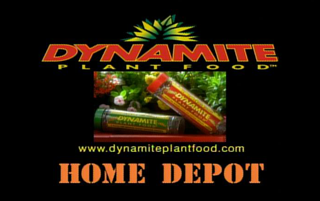 dynamite